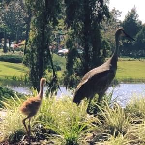 Meet your Posher, Sandra